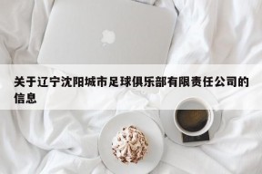 关于辽宁沈阳城市足球俱乐部有限责任公司的信息