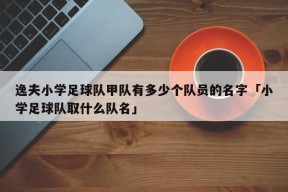 逸夫小学足球队甲队有多少个队员的名字「小学足球队取什么队名」