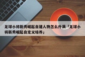 足球小将新秀崛起自建人物怎么升满「足球小将新秀崛起自定义培养」