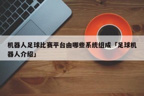 机器人足球比赛平台由哪些系统组成「足球机器人介绍」