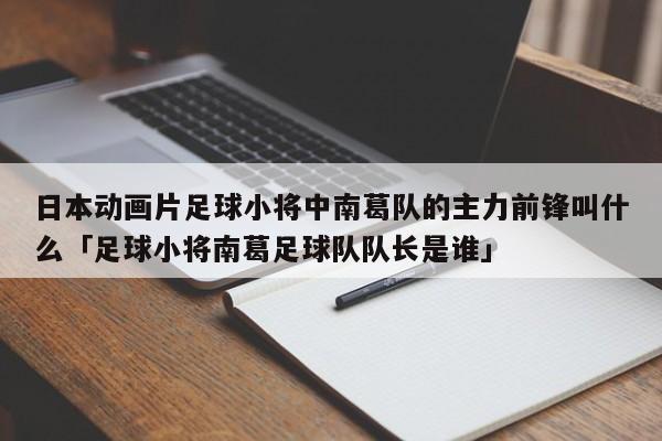 日本动画片足球小将中南葛队的主力前锋叫什么「足球小将南葛足球队队长是谁」  第1张