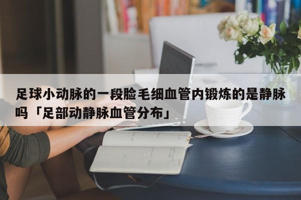 足球小动脉的一段脸毛细血管内锻炼的是静脉吗「足部动静脉血管分布」  第1张