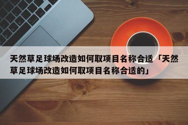 天然草足球场改造如何取项目名称合适「天然草足球场改造如何取项目名称合适的」  第1张