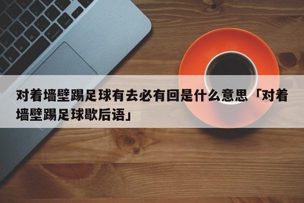 对着墙壁踢足球有去必有回是什么意思「对着墙壁踢足球歇后语」  第1张