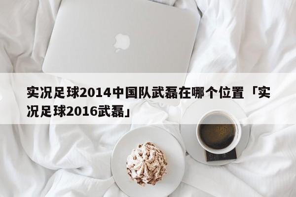 实况足球2014中国队武磊在哪个位置「实况足球2016武磊」  第1张