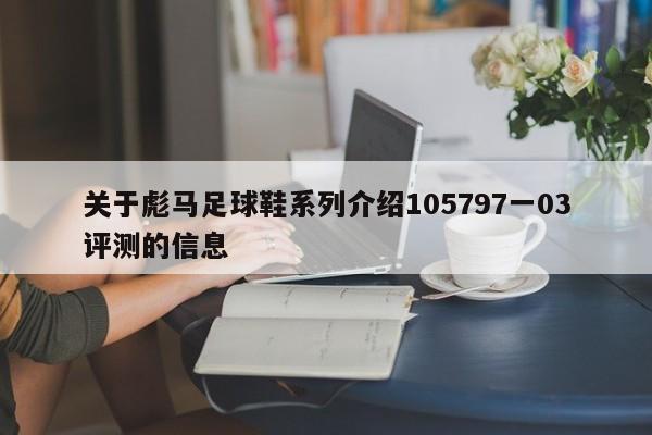 关于彪马足球鞋系列介绍105797一03评测的信息  第1张