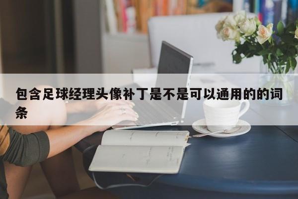 包含足球经理头像补丁是不是可以通用的的词条  第1张